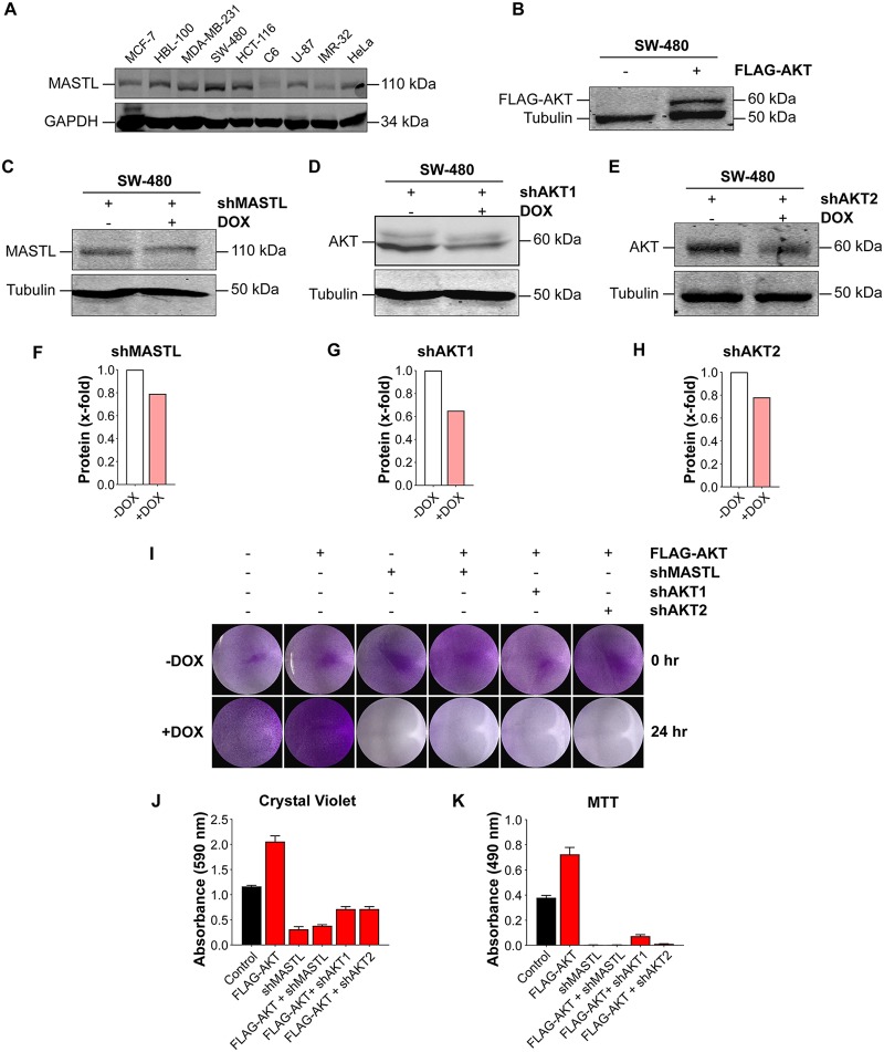 FIG 6