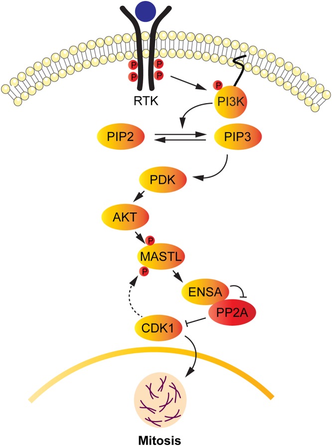 FIG 10