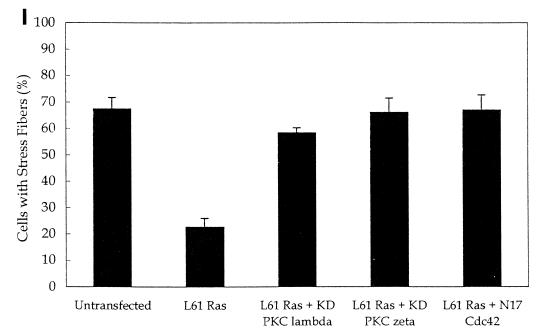 FIG. 8