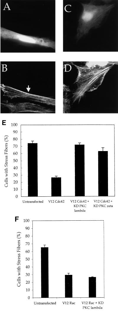 FIG. 7