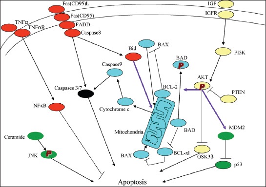 FIGURE 1