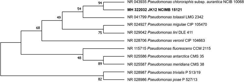 Fig. 3