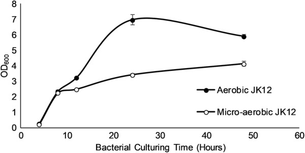 Fig. 4