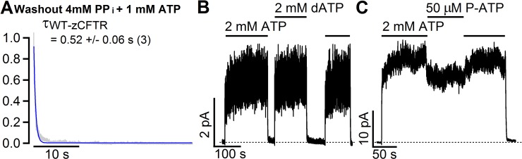 Fig 5