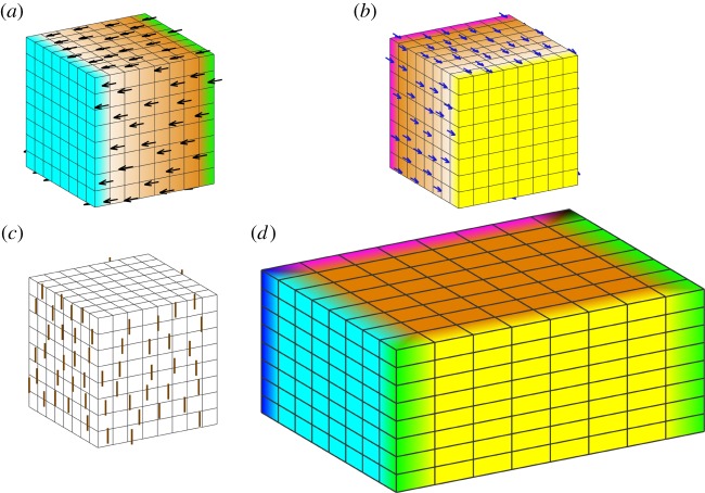 Figure 15.