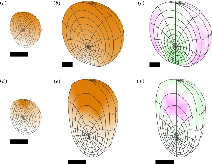 Figure 10.