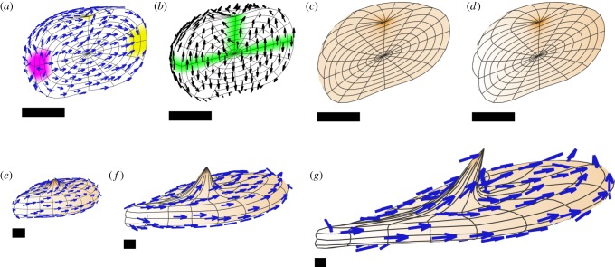 Figure 17.