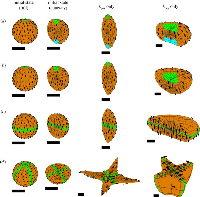 Figure 13.