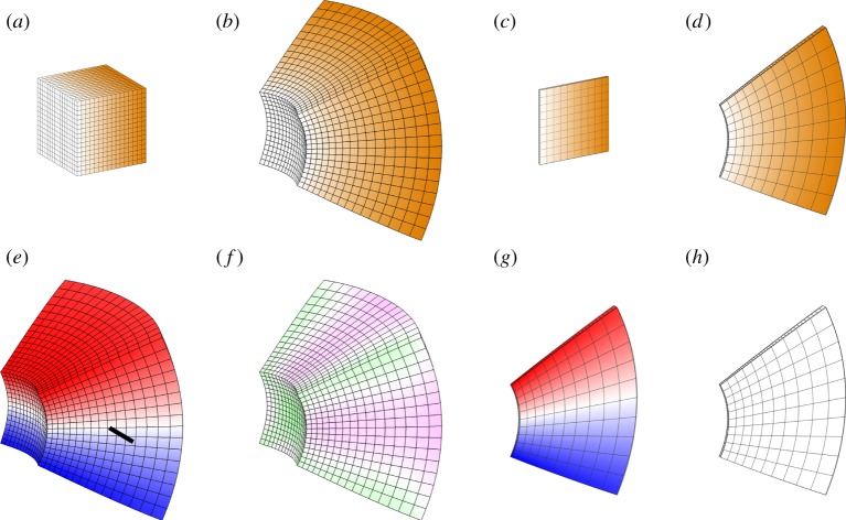 Figure 9.