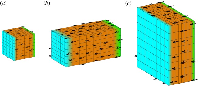 Figure 12.