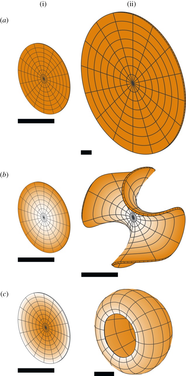 Figure 7.