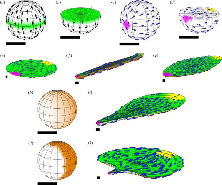 Figure 16.