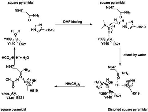 Scheme 1