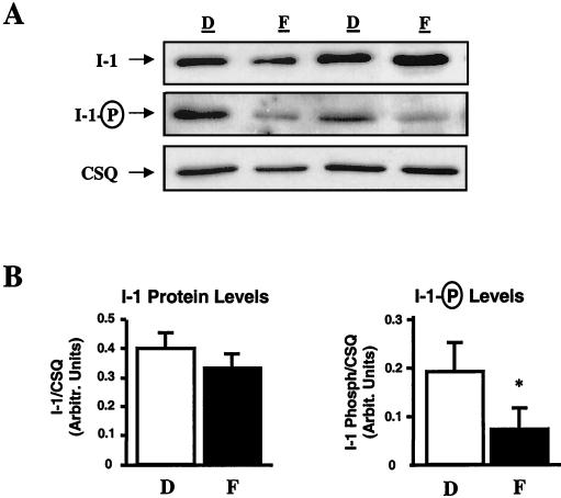 FIG. 5.