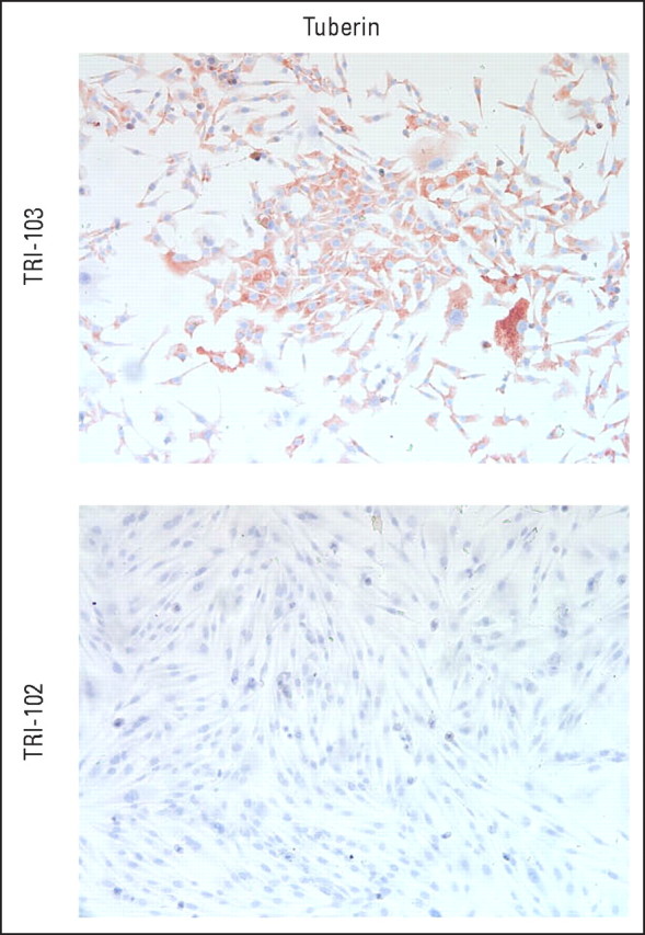 Fig A1.