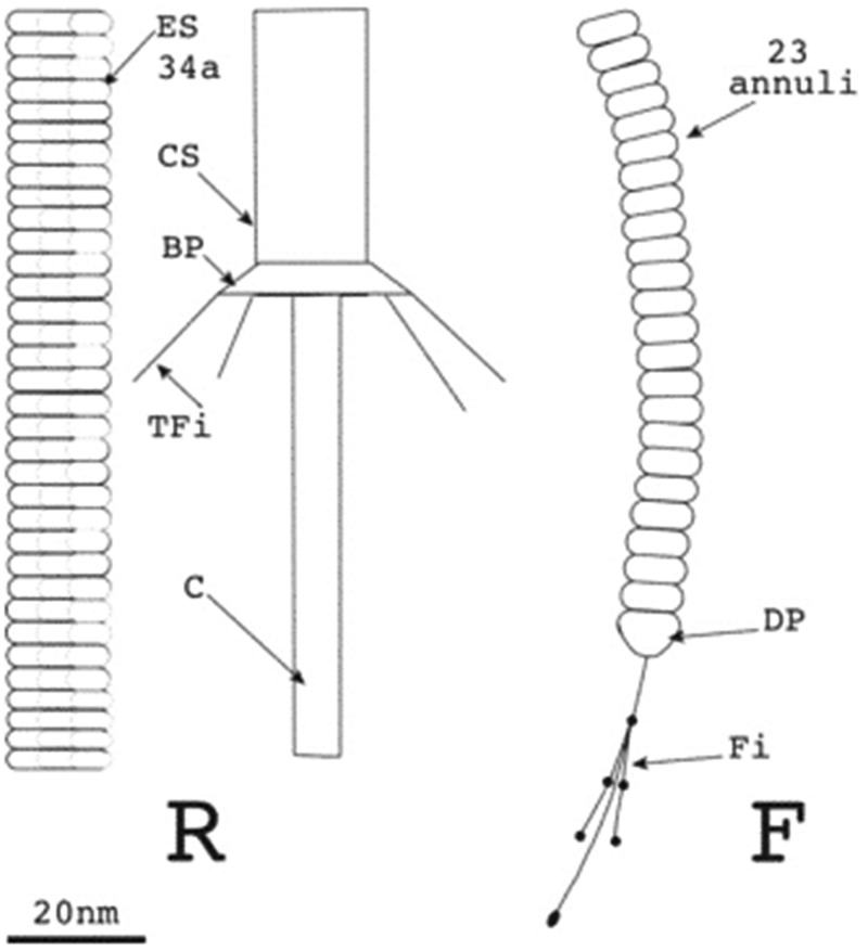 Figure 2.