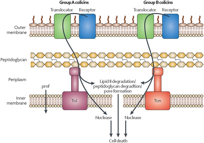 Figure 1.