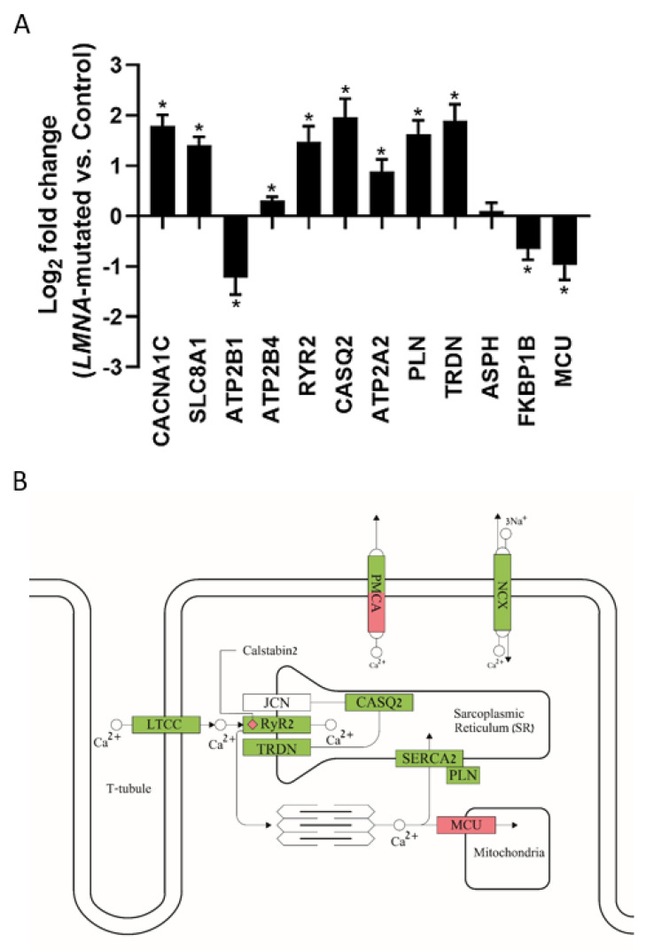 Figure 9