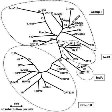 FIG. 1.