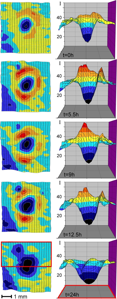 Fig. 4.