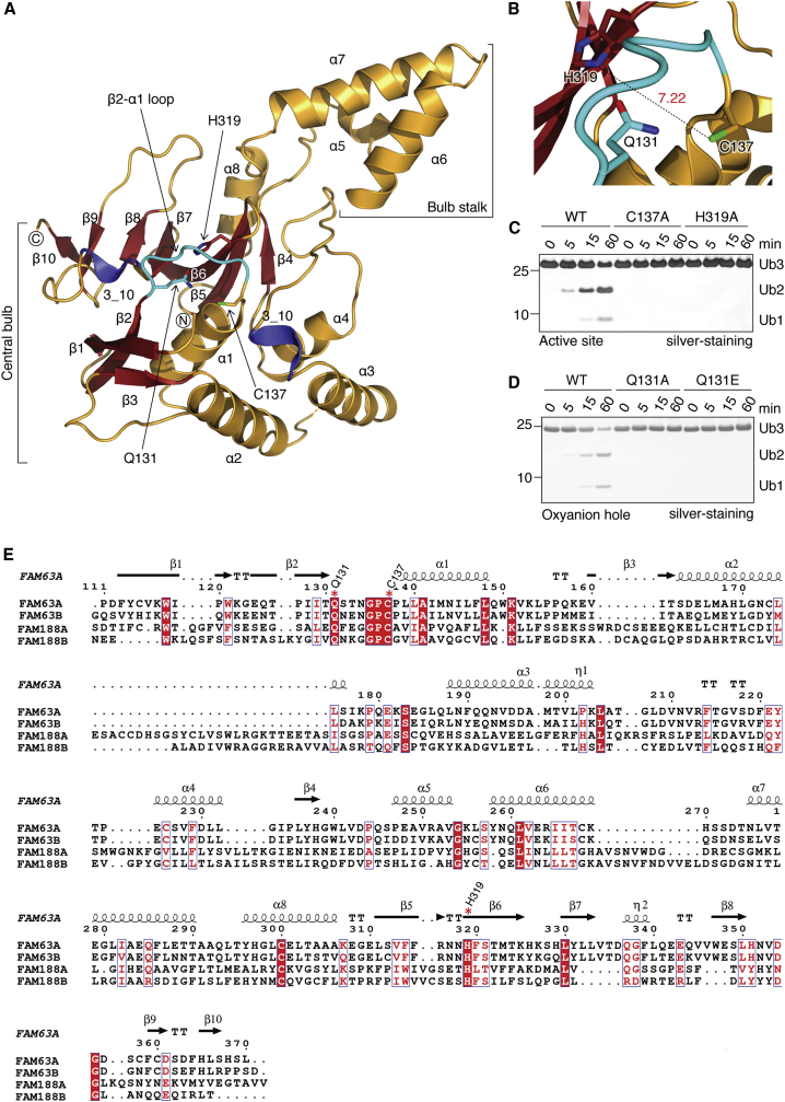 Figure 2