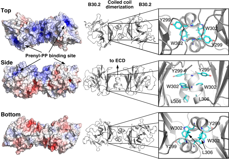 FIGURE 4.