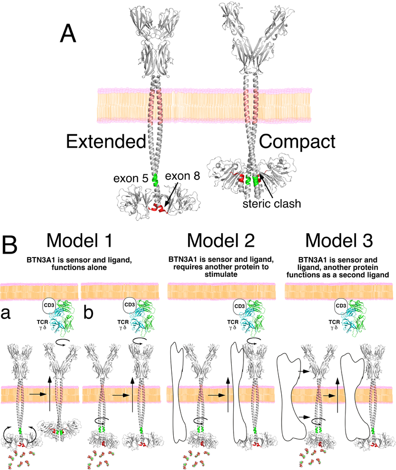 FIGURE 10.