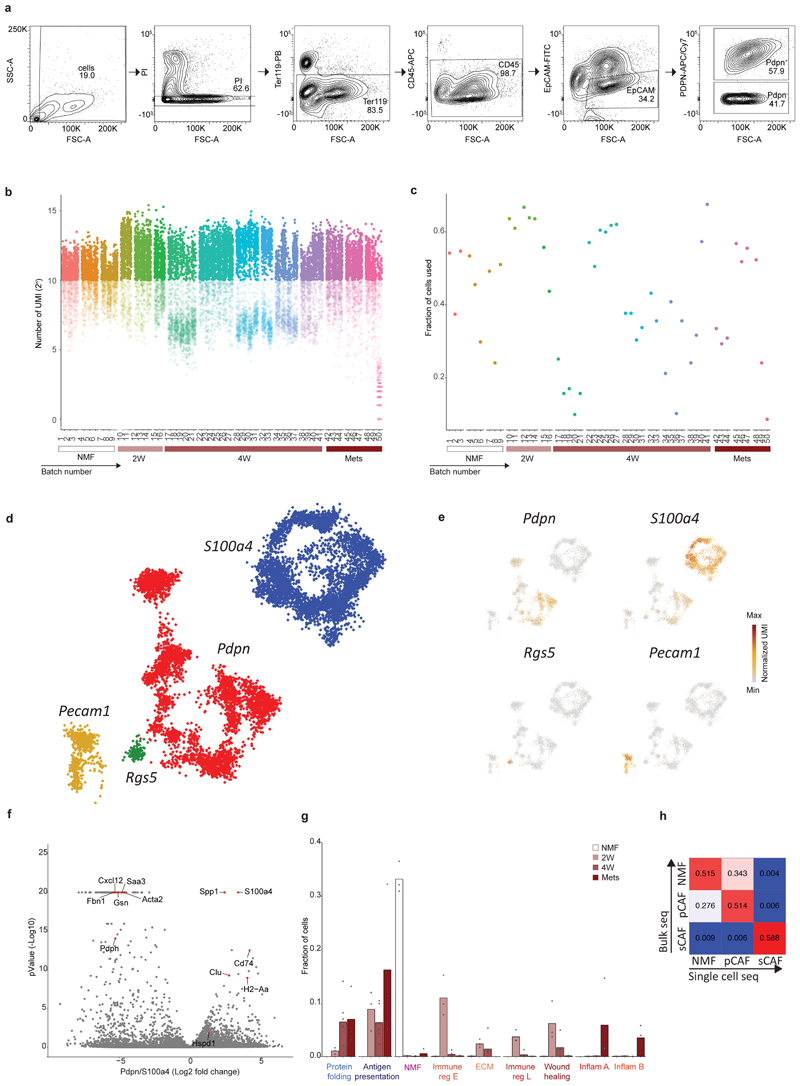 Extended Data Fig. 1