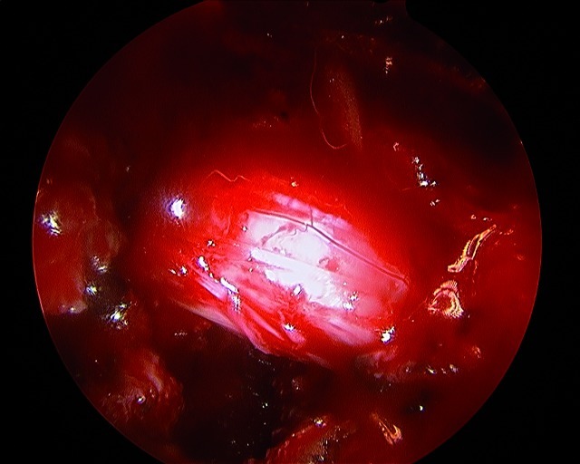 Fig. 7