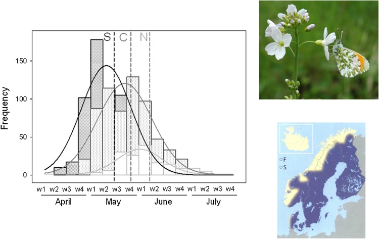 Fig. 1