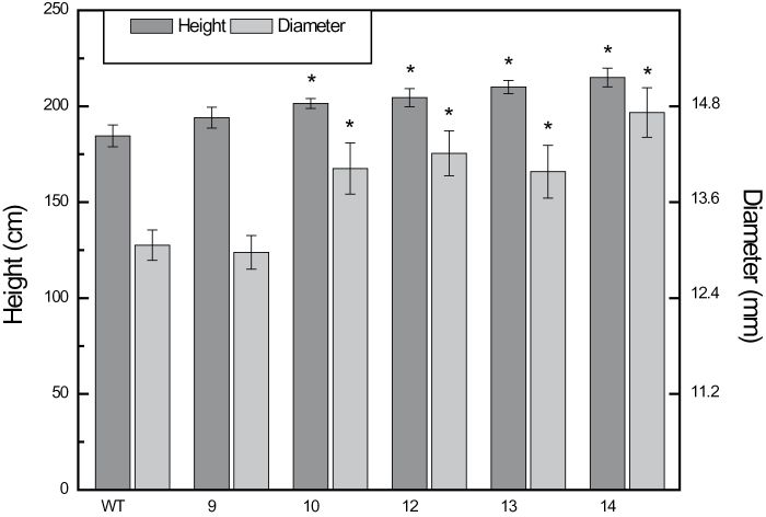 Fig. 9.