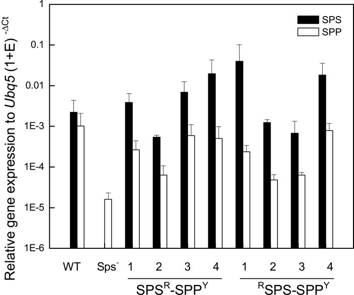 Fig. 6.