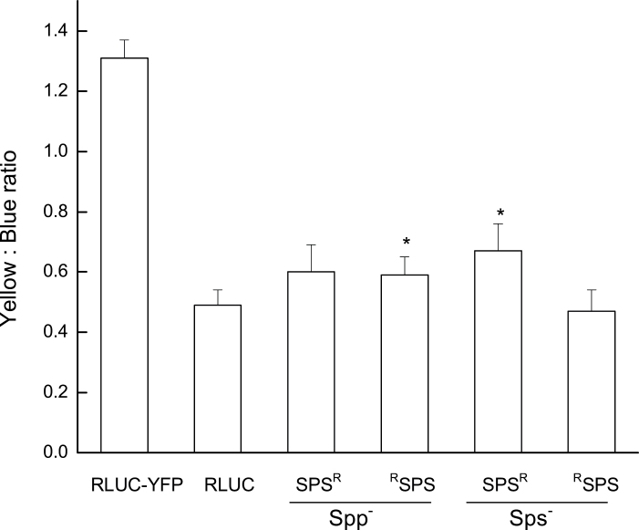 Fig. 4.