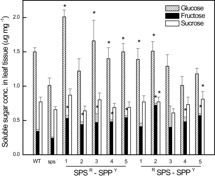 Fig. 10.