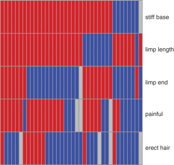 FIG 2: