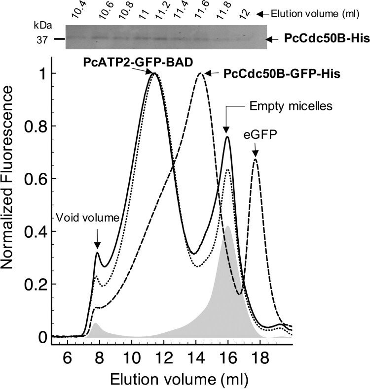 Figure 5.