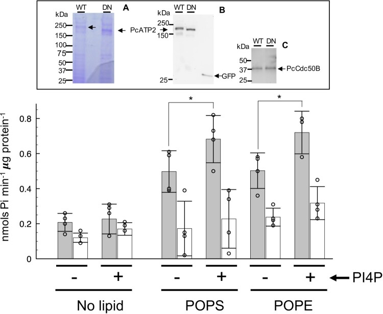 Figure 6.