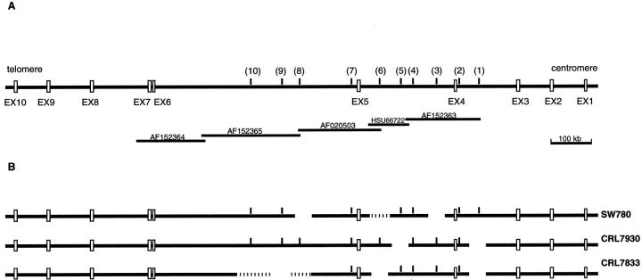 Figure 1.