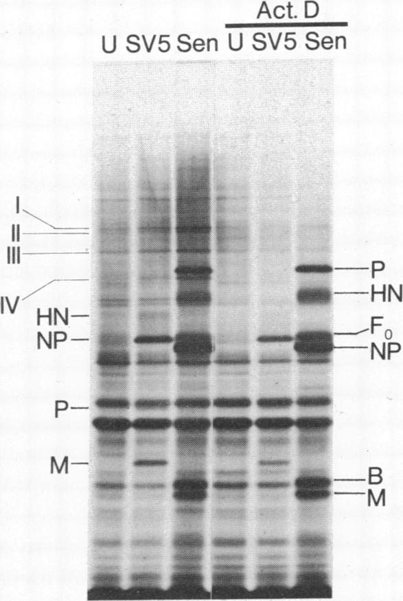 graphic file with name pnas00022-0385-a.jpg