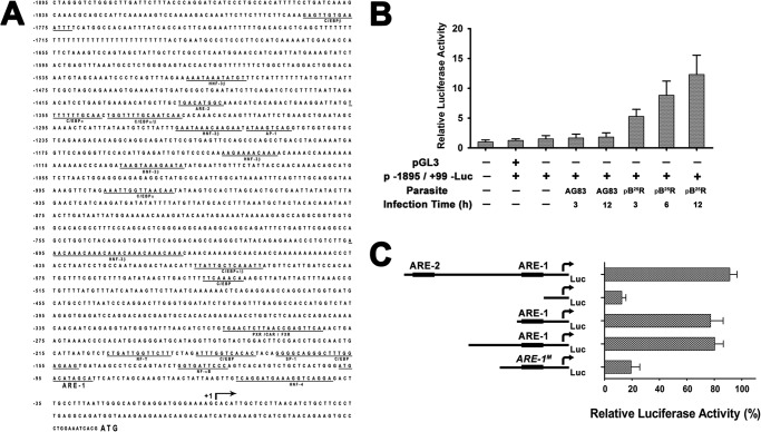 FIGURE 6.