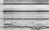 61