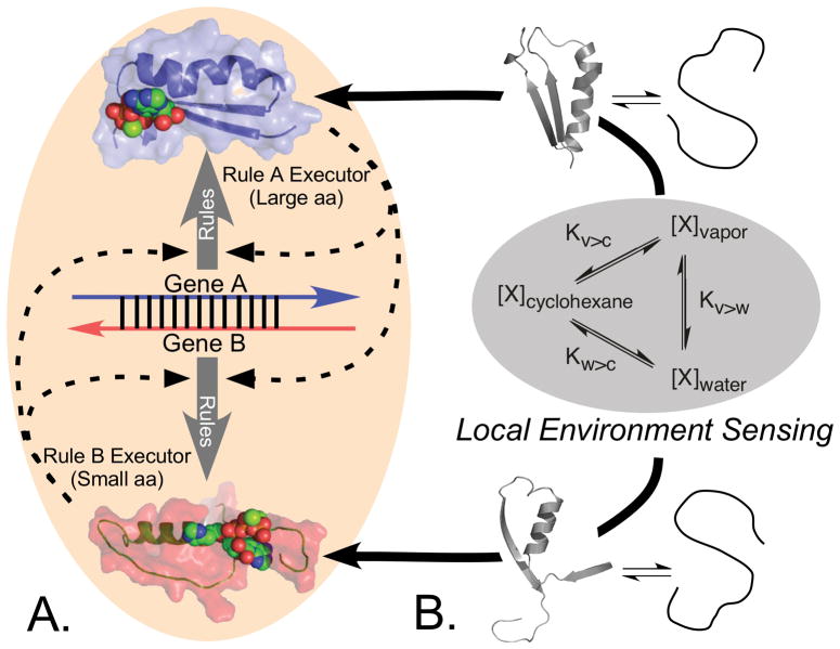 Figure 19