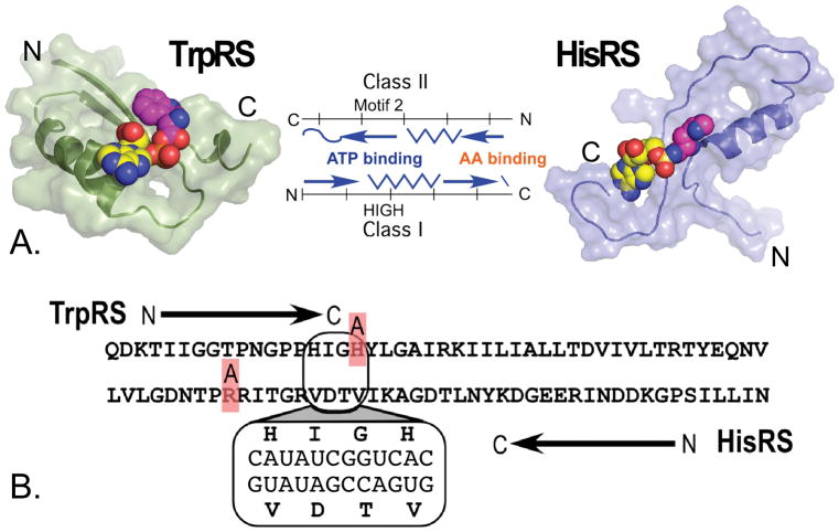 Figure 15