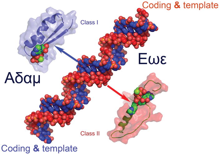 Figure 17