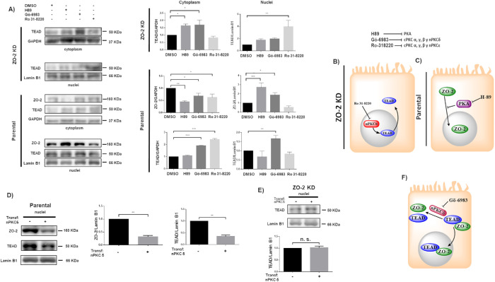 FIGURE 3: