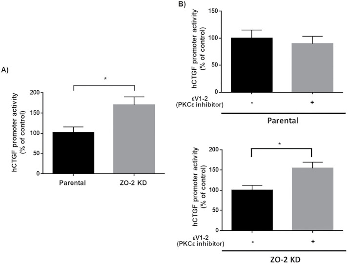 FIGURE 4: