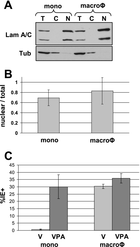 FIG. 5.