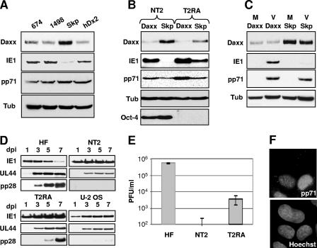 FIG. 7.