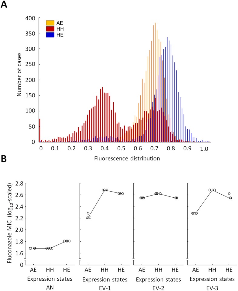 Fig 4