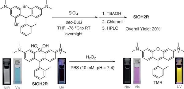 Scheme 3